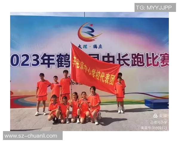 重庆排球队拼搏历程揭秘努力与汗水铸就辉煌成就