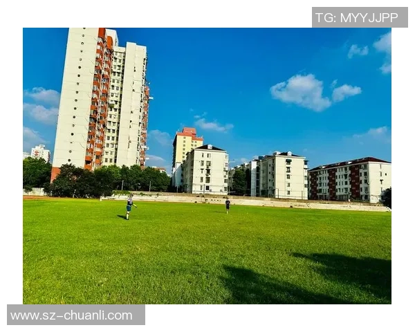 重磅专题：南京飞盘队的进攻革新